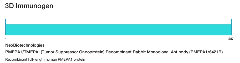 PMEPA1/TMEPAI (Tumor Suppressor Oncoprotein) Recombinant Rabbit Monoclonal Antibody (PMEPA1/6421R)