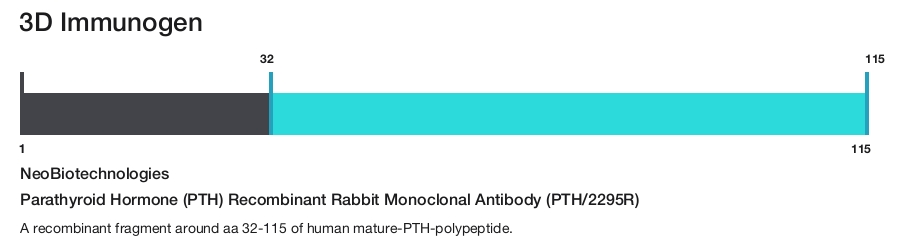Parathyroid Hormone (PTH) Recombinant Rabbit Monoclonal Antibody (PTH/2295R)