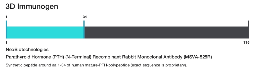 Parathyroid Hormone (PTH) (N-Terminal) Recombinant Rabbit Monoclonal Antibody (MSVA-525R)