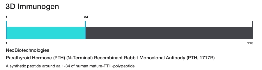 Parathyroid Hormone (PTH) (N-Terminal) Recombinant Rabbit Monoclonal Antibody (PTH, 1717R)