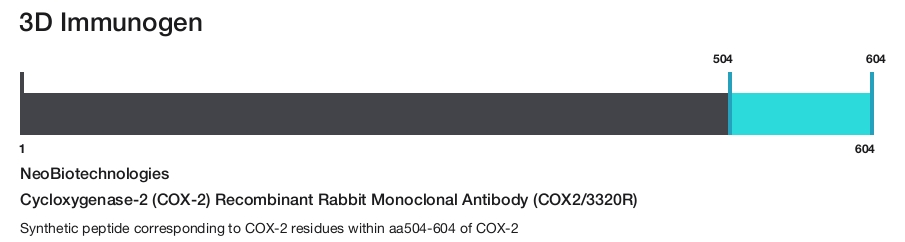 Cycloxygenase-2 (COX-2) Recombinant Rabbit Monoclonal Antibody (COX2/3320R)