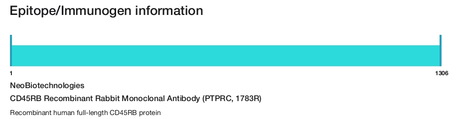CD45RB Recombinant Rabbit Monoclonal Antibody (PTPRC, 1783R)