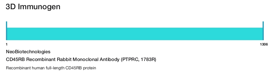 CD45RB Recombinant Rabbit Monoclonal Antibody (PTPRC, 1783R)