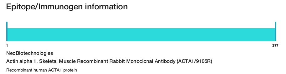 Actin alpha 1, Skeletal Muscle Recombinant Rabbit Monoclonal Antibody (ACTA1/9105R)
