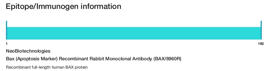 Bax (Apoptosis Marker) Recombinant Rabbit Monoclonal Antibody (BAX/8960R)