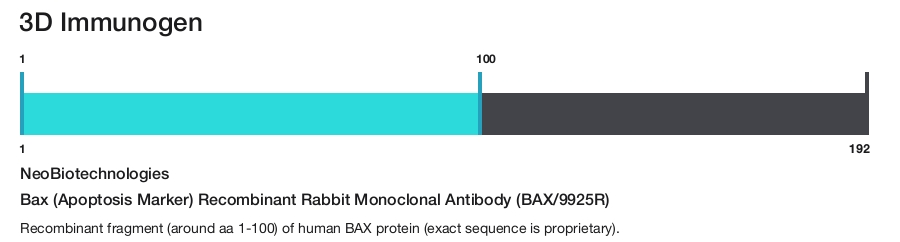 Bax (Apoptosis Marker) Recombinant Rabbit Monoclonal Antibody (BAX/9925R)