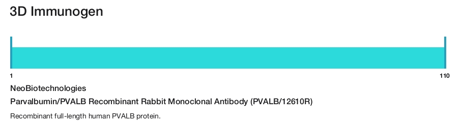 Parvalbumin/PVALB Recombinant Rabbit Monoclonal Antibody (PVALB/12610R)