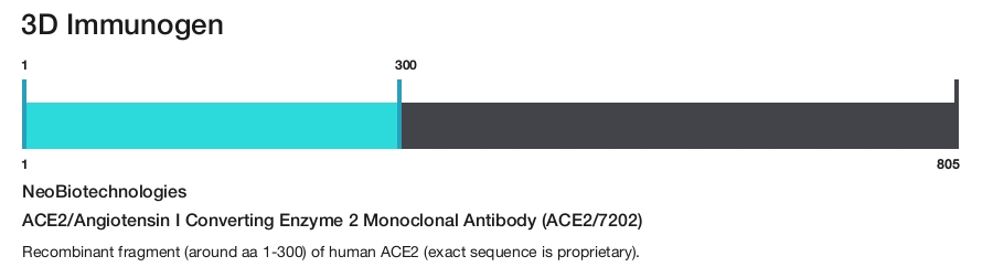 ACE2/Angiotensin I Converting Enzyme 2 Monoclonal Antibody (ACE2/7202)