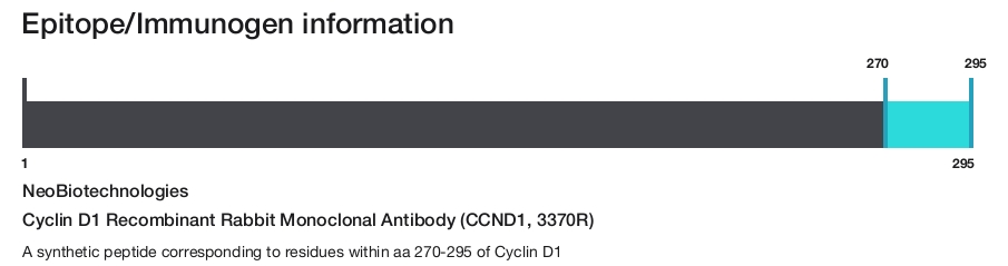 Cyclin D1 Recombinant Rabbit Monoclonal Antibody (CCND1, 3370R)