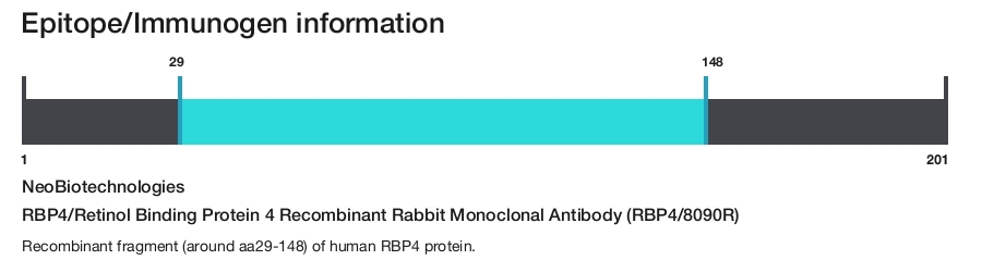 RBP4/Retinol Binding Protein 4 Recombinant Rabbit Monoclonal Antibody (RBP4/8090R)
