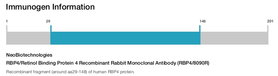 RBP4/Retinol Binding Protein 4 Recombinant Rabbit Monoclonal Antibody (RBP4/8090R)