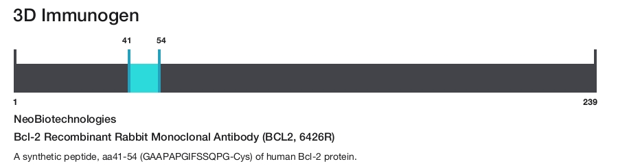 Bcl-2 Recombinant Rabbit Monoclonal Antibody (BCL2, 6426R)