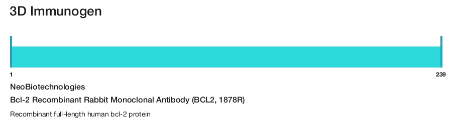 Bcl-2 Recombinant Rabbit Monoclonal Antibody (BCL2, 1878R)