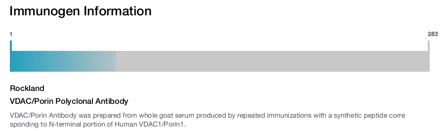 VDAC/Porin Polyclonal Antibody