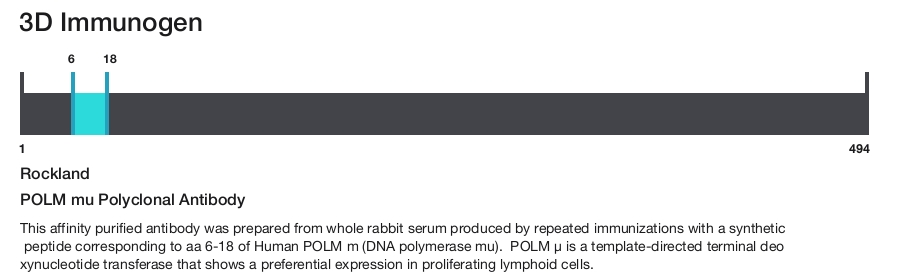 POLM mu Polyclonal Antibody