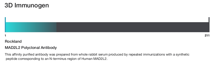 MAD2L2 Polyclonal Antibody