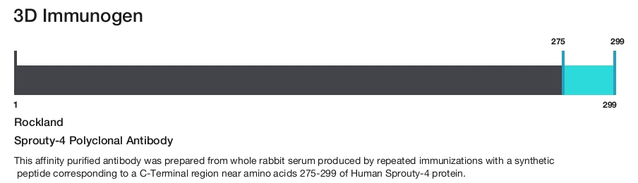 Sprouty-4 Polyclonal Antibody