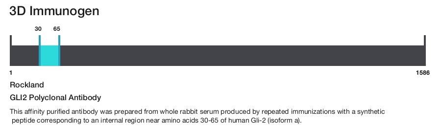 GLI2 Polyclonal Antibody