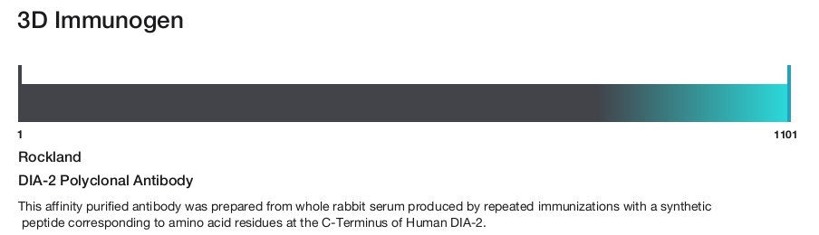DIA-2 Polyclonal Antibody
