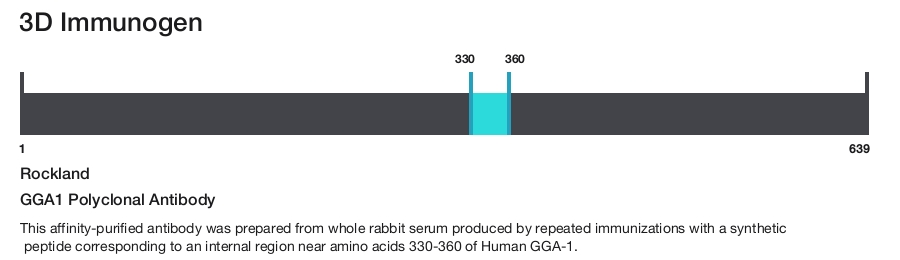 GGA1 Polyclonal Antibody