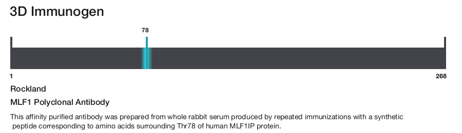 MLF1 Polyclonal Antibody