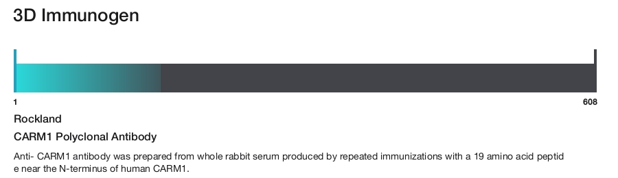 CARM1 Polyclonal Antibody