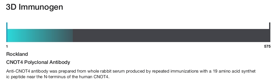 CNOT4 Polyclonal Antibody