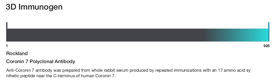 Coronin 7 Polyclonal Antibody