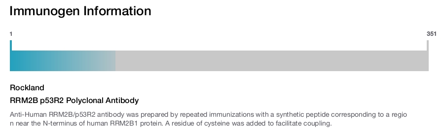 RRM2B p53R2 Polyclonal Antibody