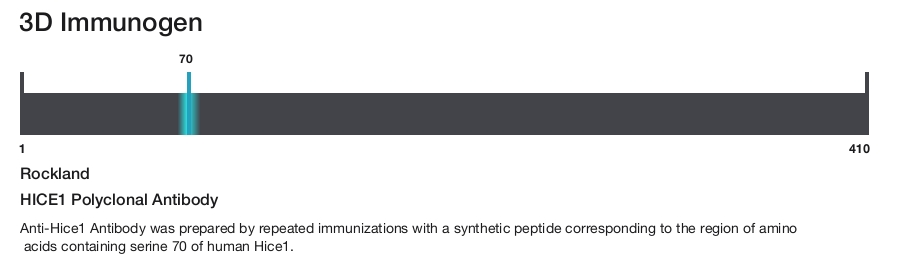 HICE1 Polyclonal Antibody