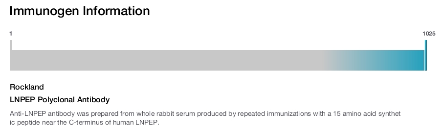 LNPEP Polyclonal Antibody