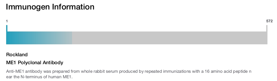 ME1 Polyclonal Antibody