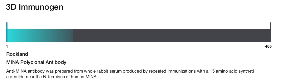 MINA Polyclonal Antibody