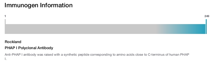 PHAP I Polyclonal Antibody
