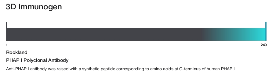 PHAP I Polyclonal Antibody
