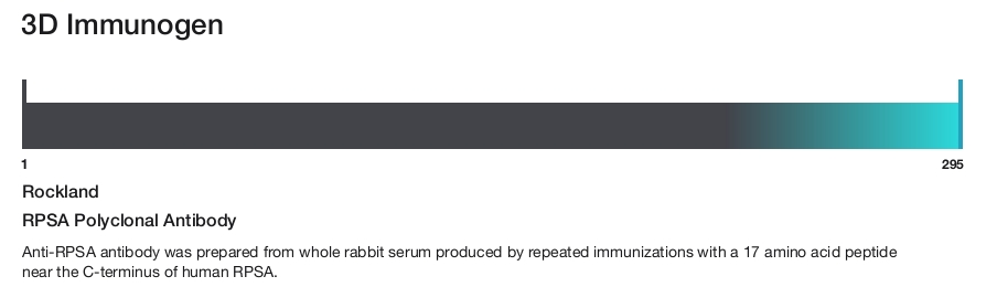 RPSA Polyclonal Antibody