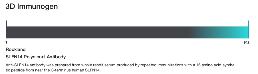 SLFN14 Polyclonal Antibody