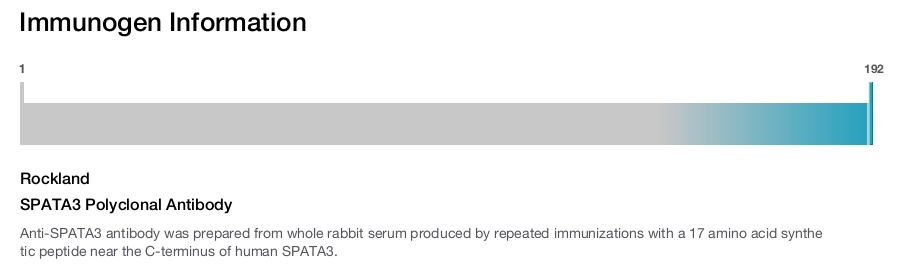 SPATA3 Polyclonal Antibody