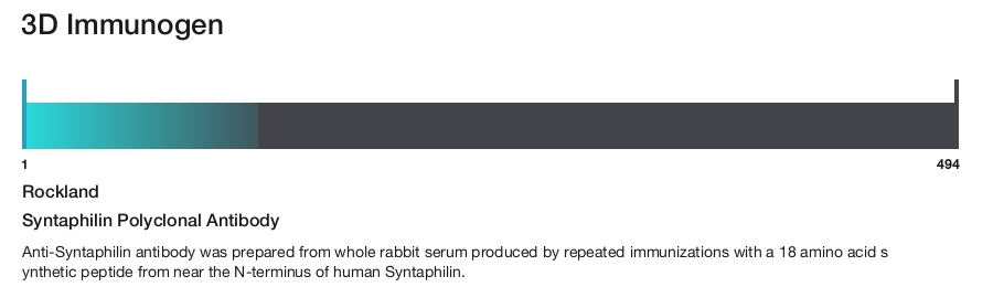 Syntaphilin Polyclonal Antibody