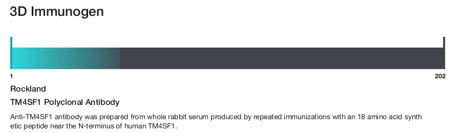 TM4SF1 Polyclonal Antibody