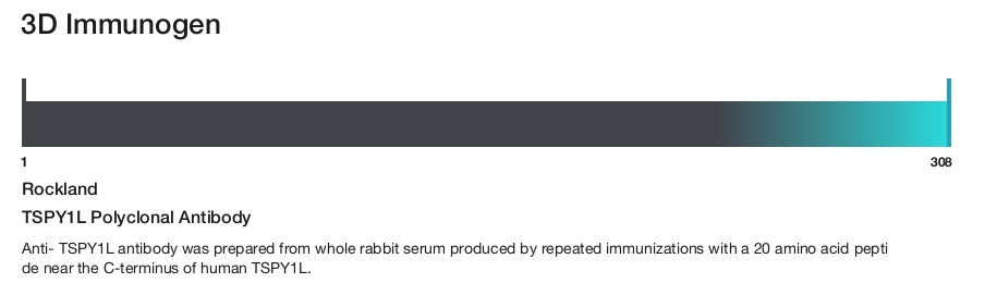 TSPY1L Polyclonal Antibody