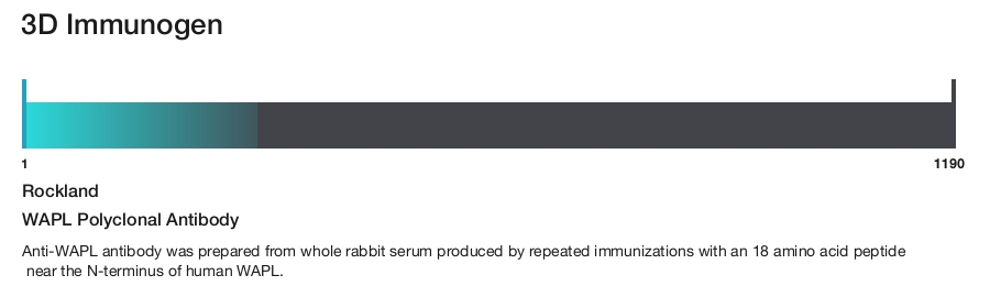 WAPL Polyclonal Antibody