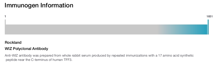 WIZ Polyclonal Antibody
