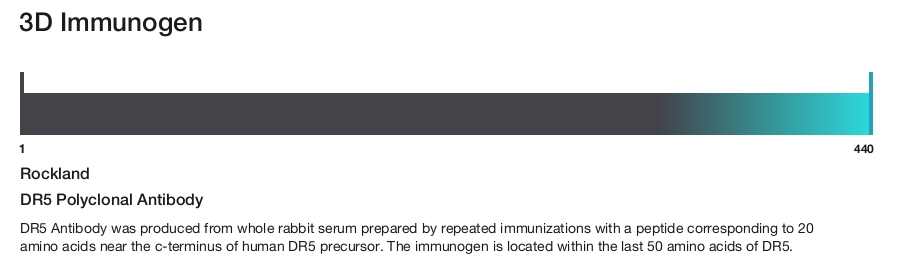 DR5 Polyclonal Antibody