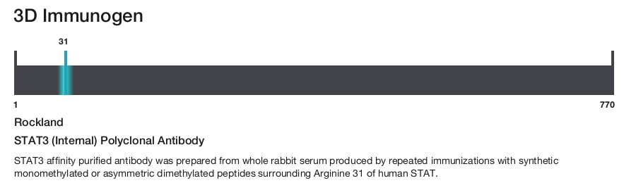 STAT3 (Internal) Polyclonal Antibody