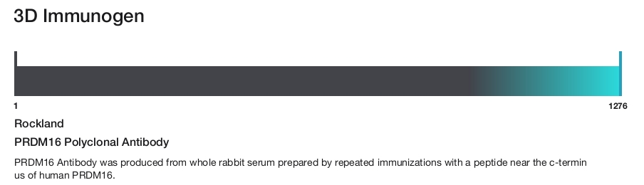 PRDM16 Polyclonal Antibody