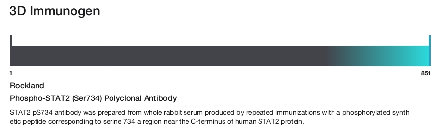 Phospho-STAT2 (Ser734) Polyclonal Antibody
