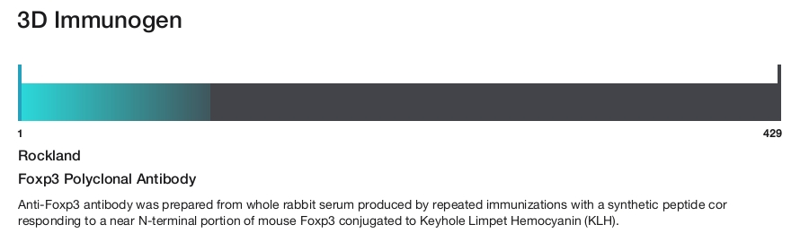 Foxp3 Polyclonal Antibody