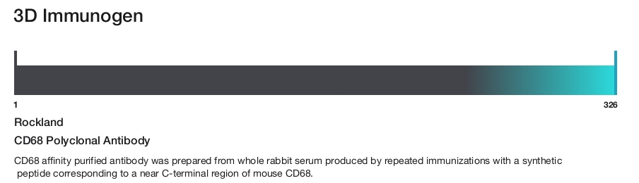 CD68 Polyclonal Antibody