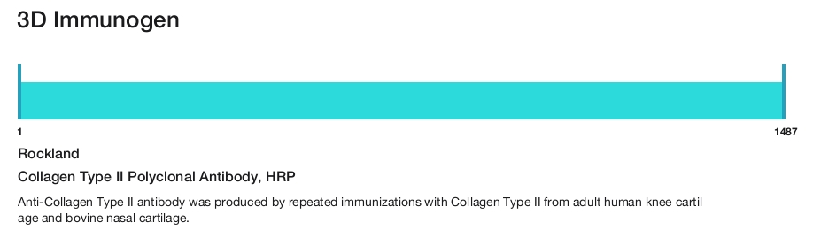 Collagen Type II Polyclonal Antibody, HRP
